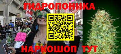 СК Кудрово