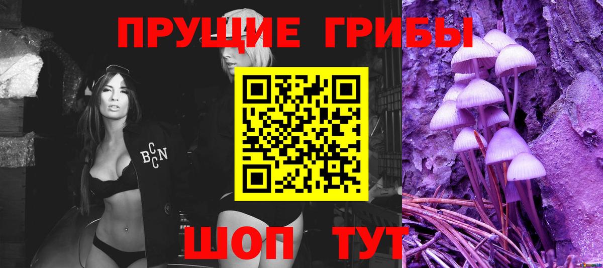 Псилоцибиновые грибы Cubensis Муром