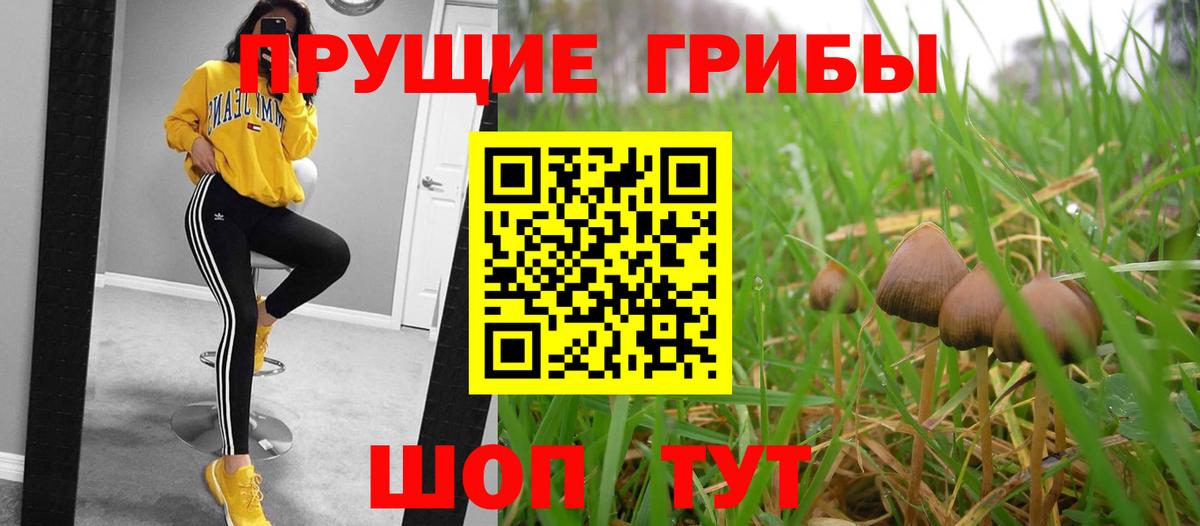 Муром  дарнет шоп  Вход с VPN  Галлюциногенные грибы мицелий 